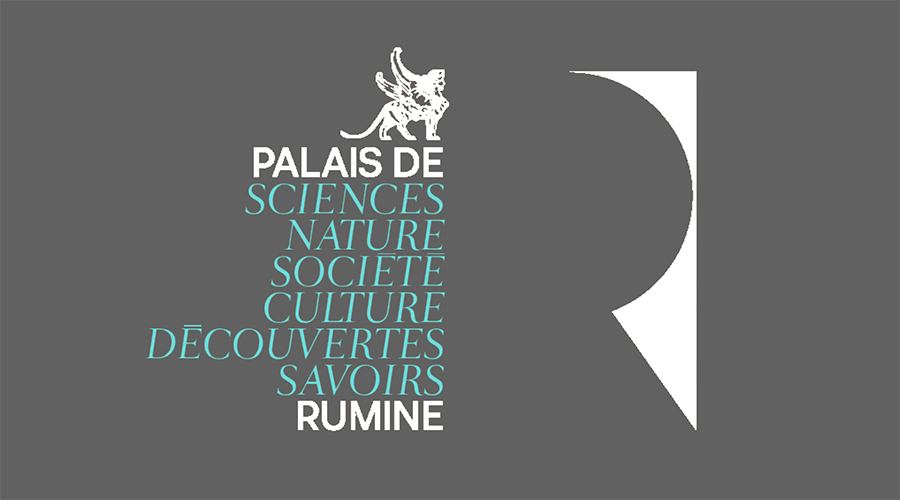 Palais des Rumine Branding