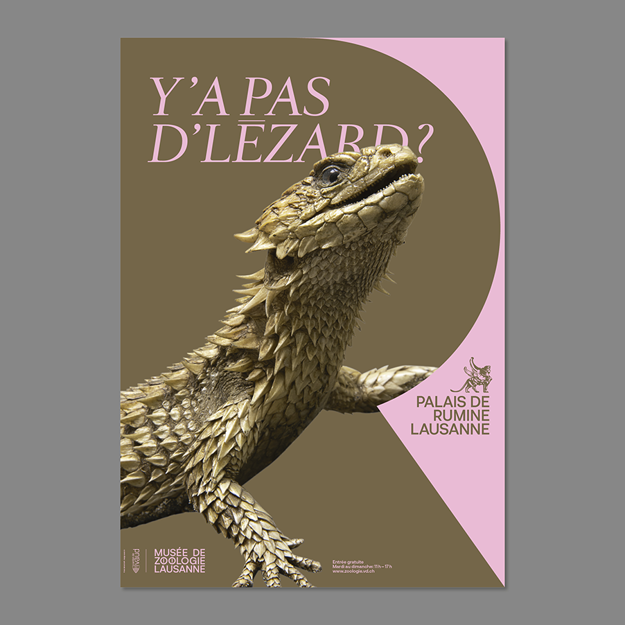 Palais des Rumine Branding