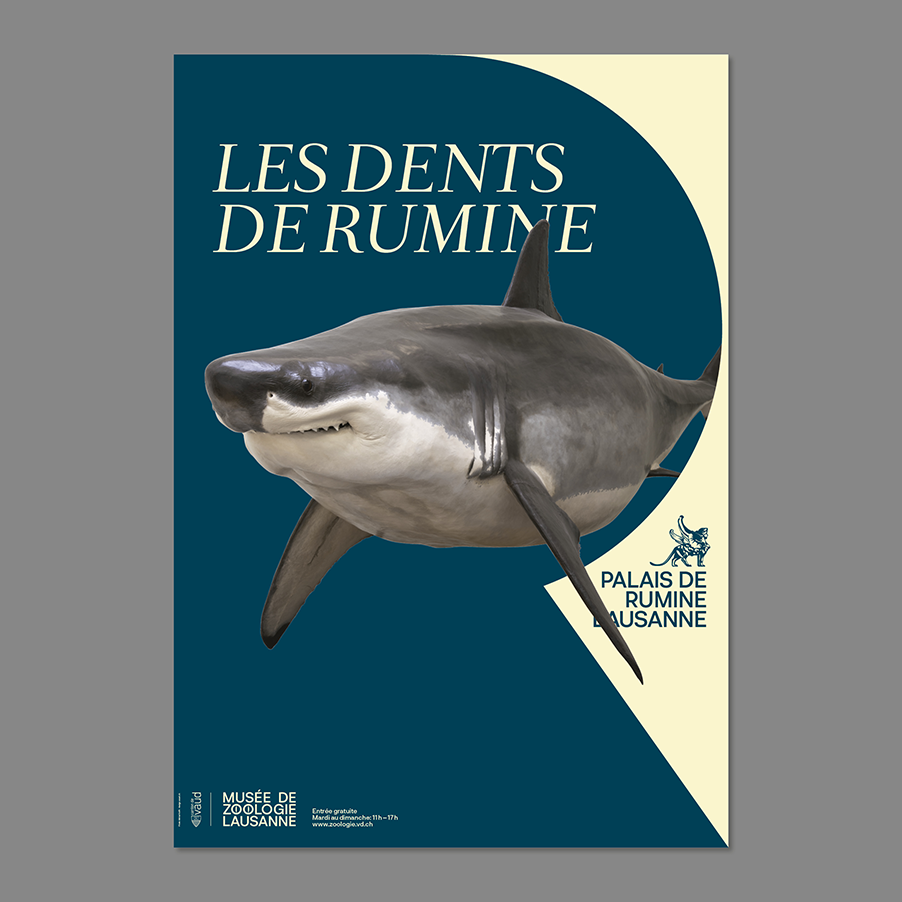 Palais des Rumine Branding