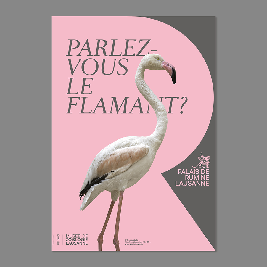 Palais des Rumine Branding